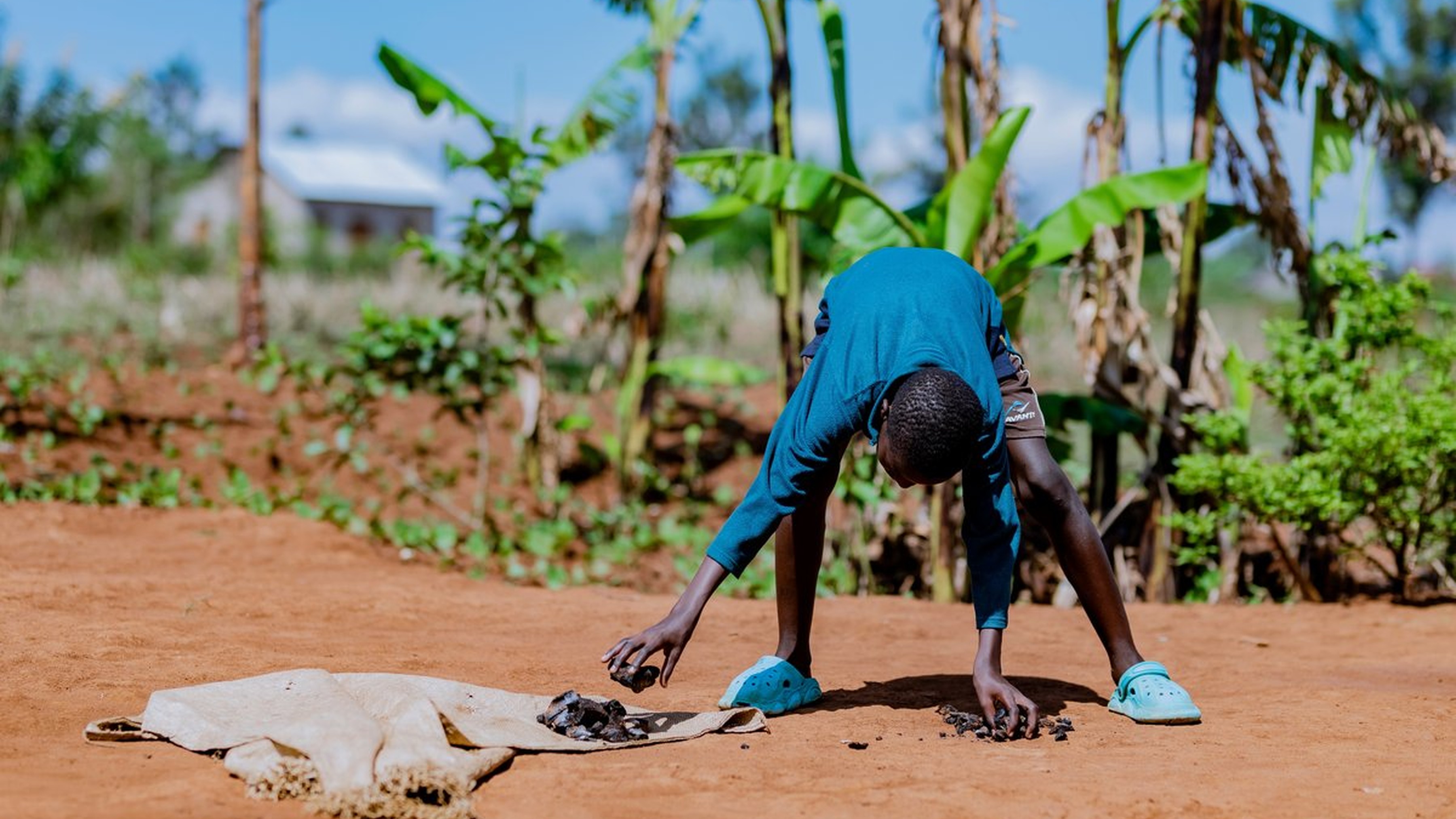 Jean Bosco - Photo 1