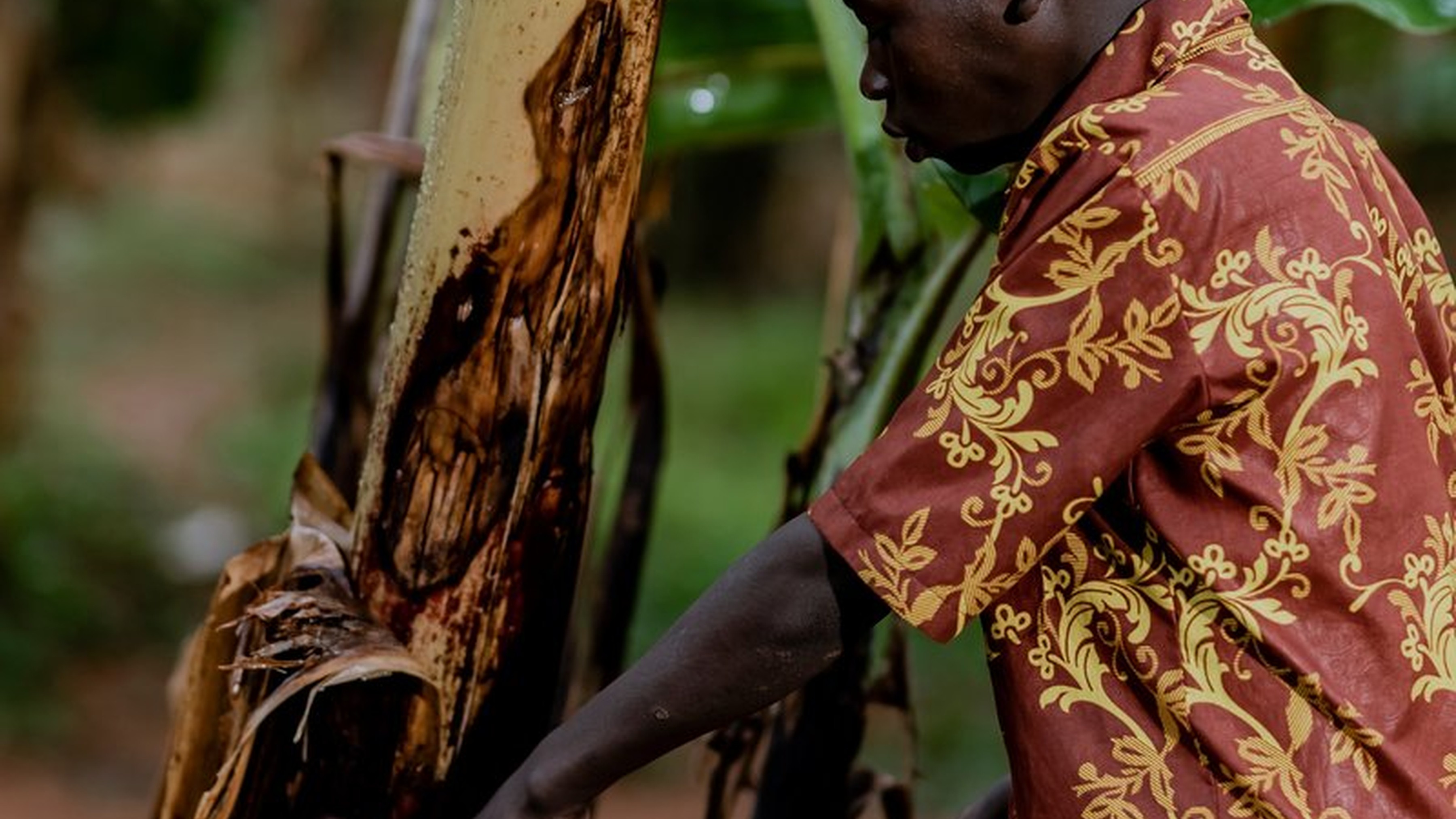 Jean Claude - Photo 1