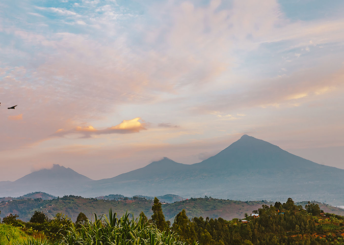 Fall of the Genocide Regime